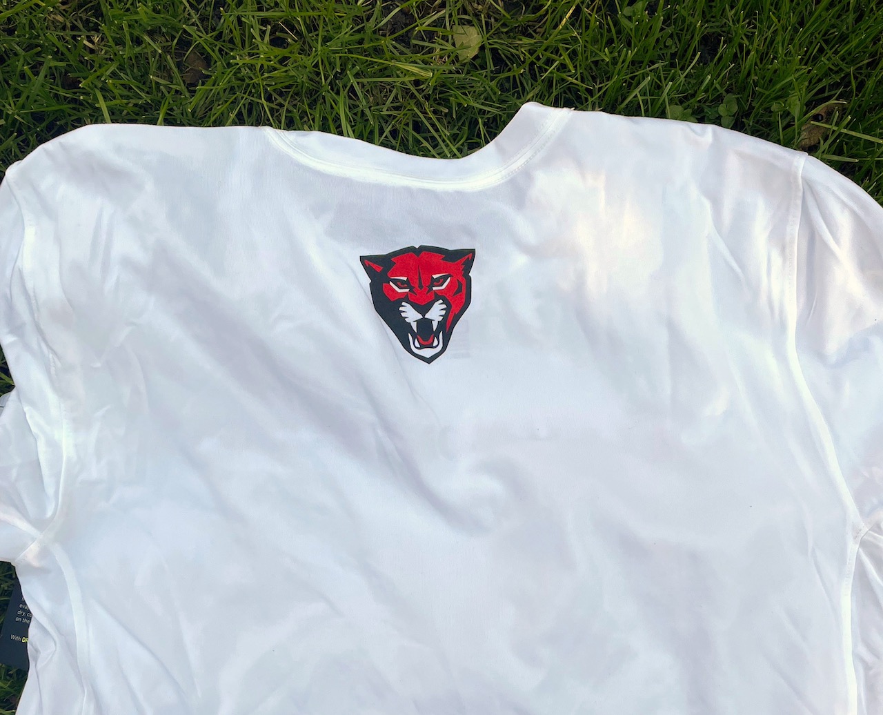 2022 shirt back with Cougar