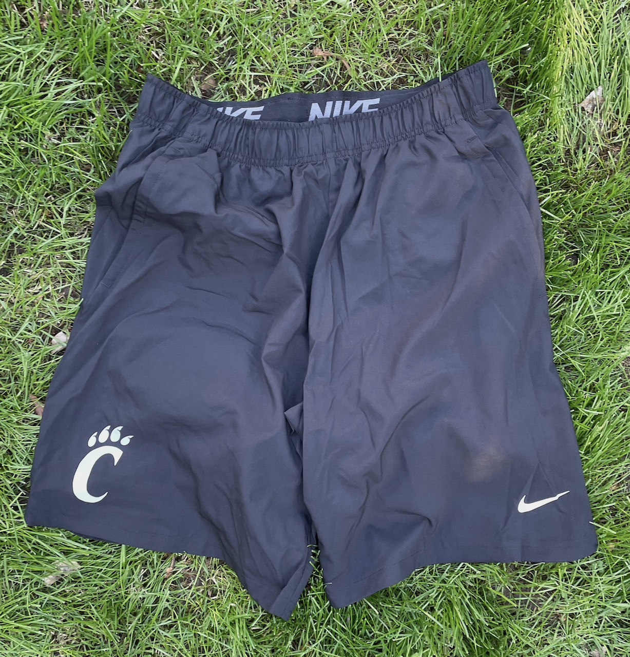 2022 shorts